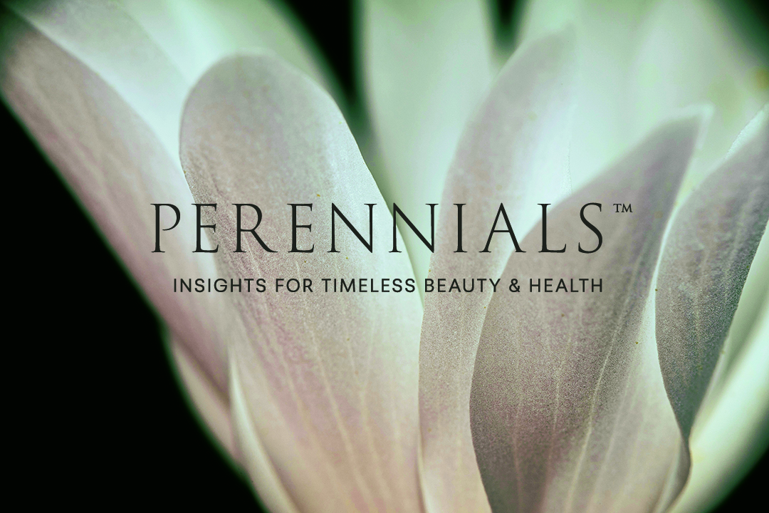 ブログ・リニューアルと名称変更のお知らせ